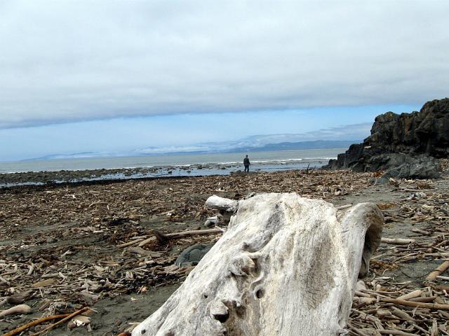 Bolan Mt & Redwoods-176.JPG - Point St. George